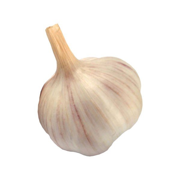 Engagement Bands or Rings