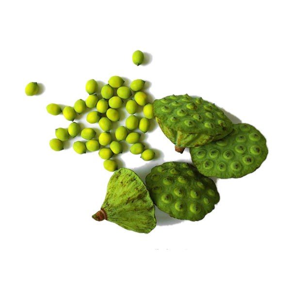 Lotus Seeds